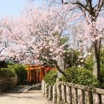 Nezu Jinja