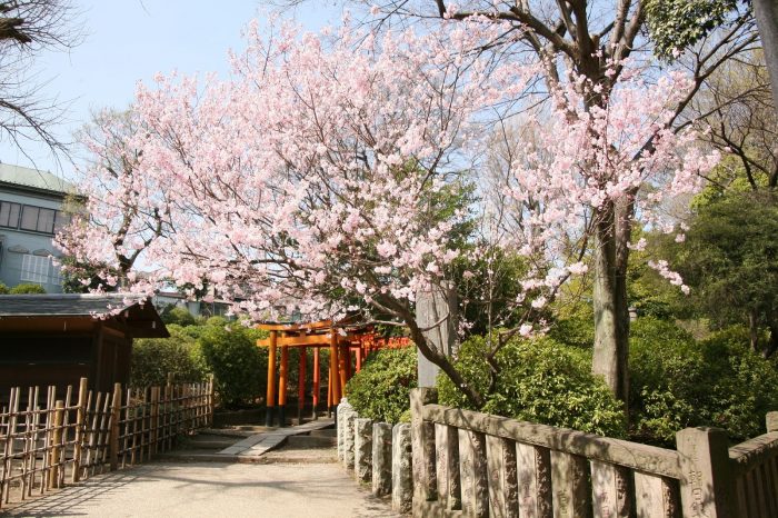 Nezu Jinja